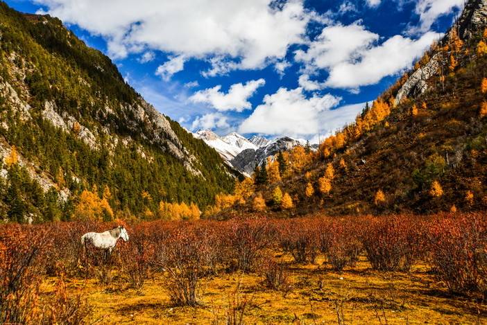 秋色绝美七藏沟