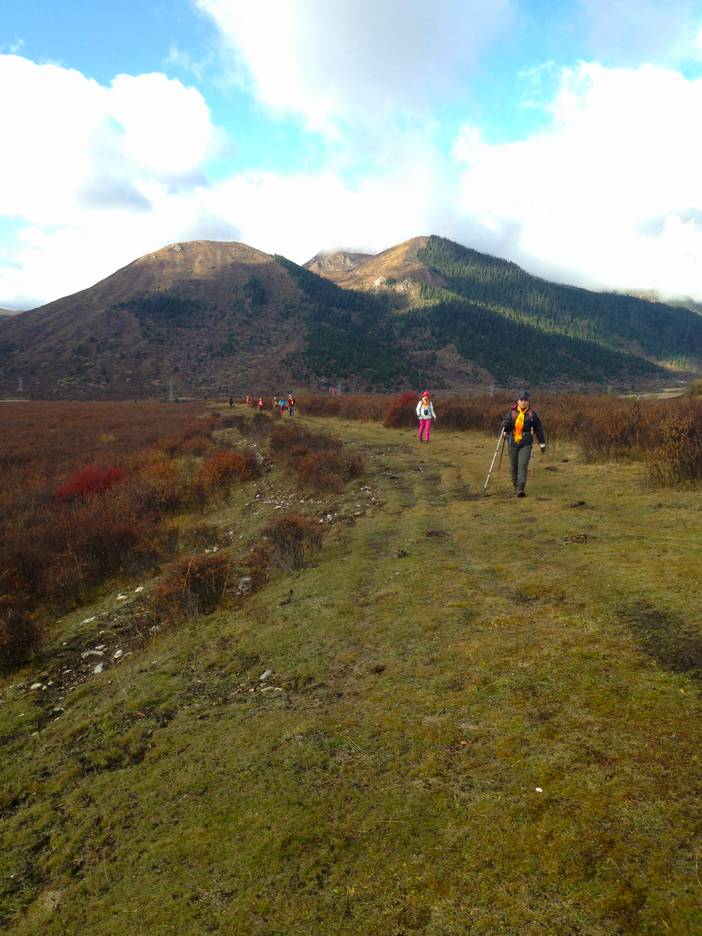 2016-10-24 093724.jpg