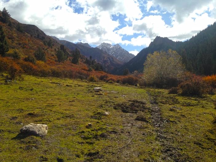 2016-10-24 111743.jpg