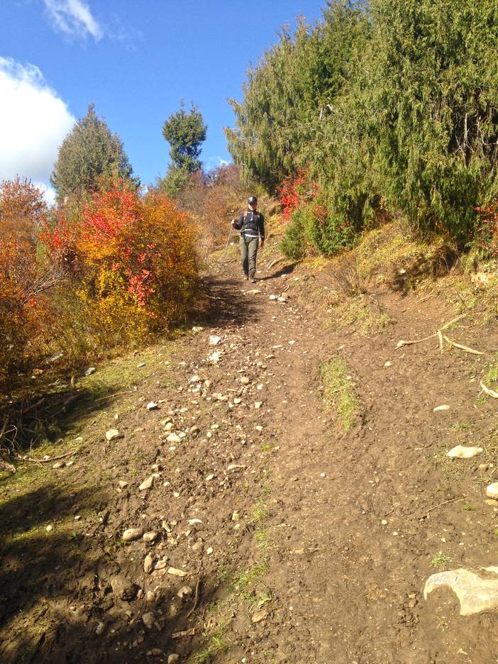 2016-10-24 110043.jpg