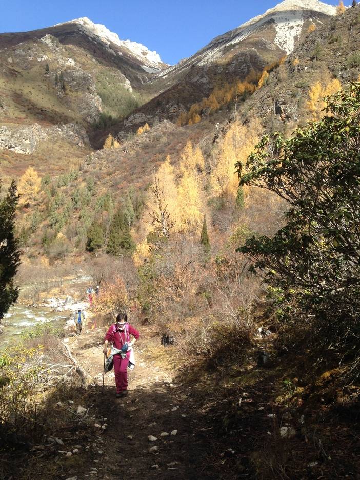 2016-10-24 122956.jpg