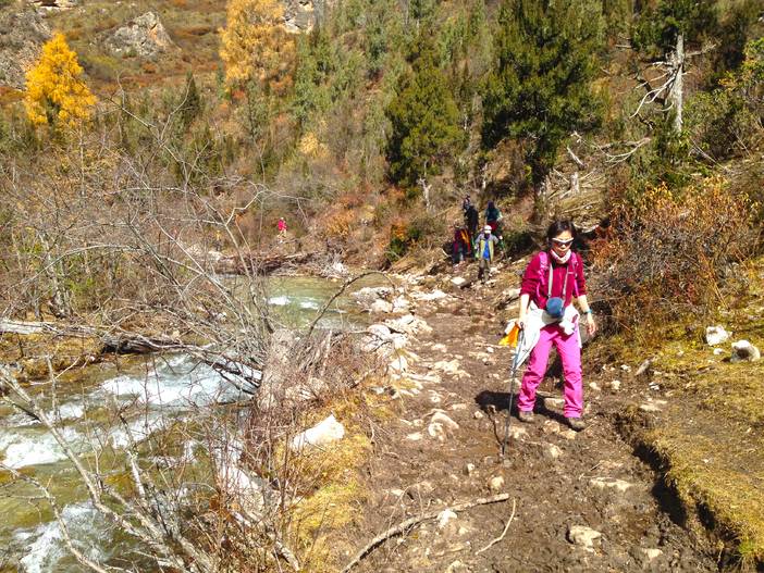 2016-10-24 122814.jpg