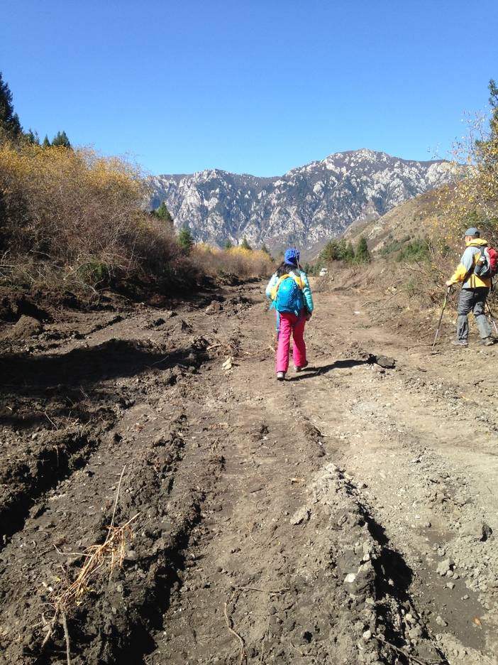 2016-10-27 112510(1).jpg