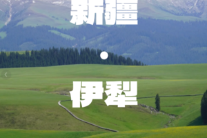 顶奢伊犁8日游（升级1+1头等舱）