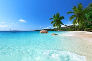 【奢玩之旅·C位三亚】5日 一价全含|狂欢亚特兰蒂斯|蜈支洲|沙滩下午茶|南山|纯玩0购|一线海边住宿|一单一团