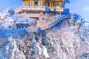 神都时空漫游 老君山·白马寺·龙门石窟·博物馆3日游 问道老君仙山|寻踪白马禅寺|阅鉴洛博春秋|纯玩0购|一价全含