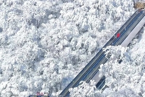 诸葛古镇.兴汉胜境.龙头山精华二日游|共赴一场云海雪山之约