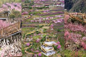 宁陕皇冠雪乡冰雪乐园.子午梅苑赏梅一日游
