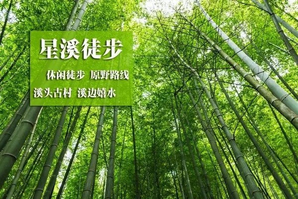 【79元从化星溪线+溪头村】每周六/周日/节假日天天出发：新驴入门路线，感受最美乡村
