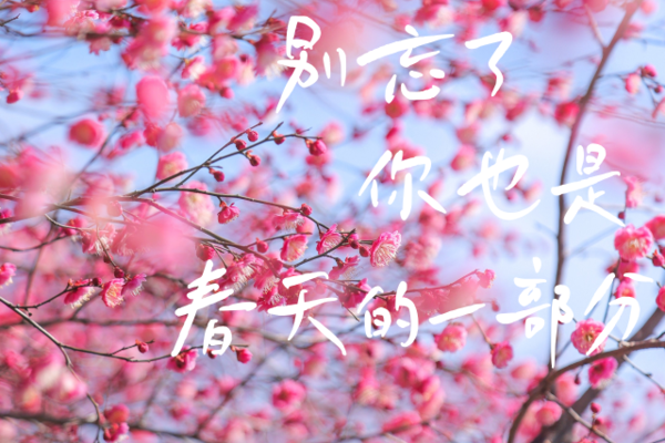 【3.22 | 湘湖春日徒步摄影】 （免费活动）花开进度80%，湘湖宝藏梅花机位，在这里→ 越风楼美人梅花海×跨湖桥遗址