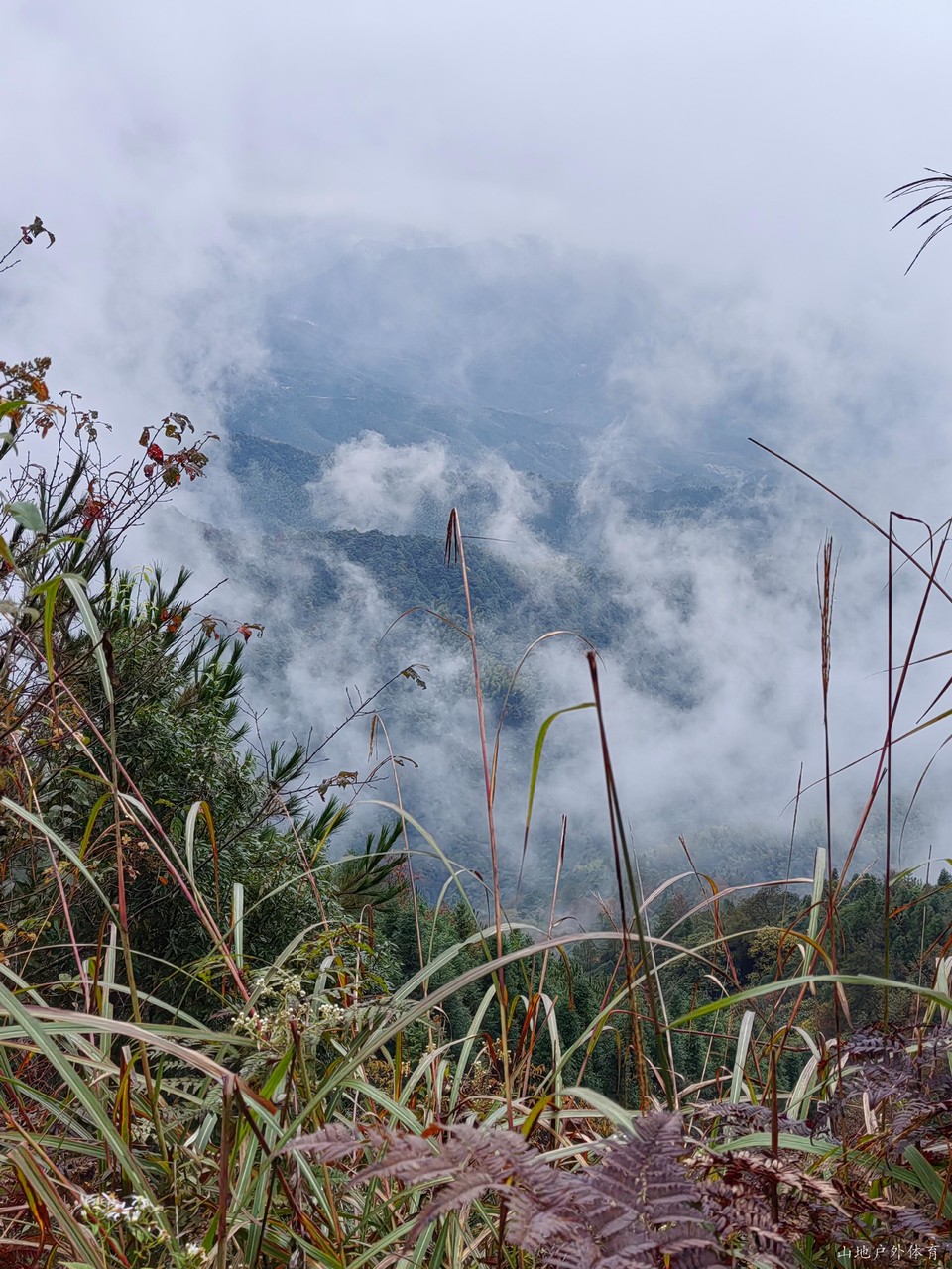 E2L0o28dY98OqGxGE8xBmLQyAHqFlt_N5uyBsxN0hoUHvmHBQspEp4MppXApBuqu