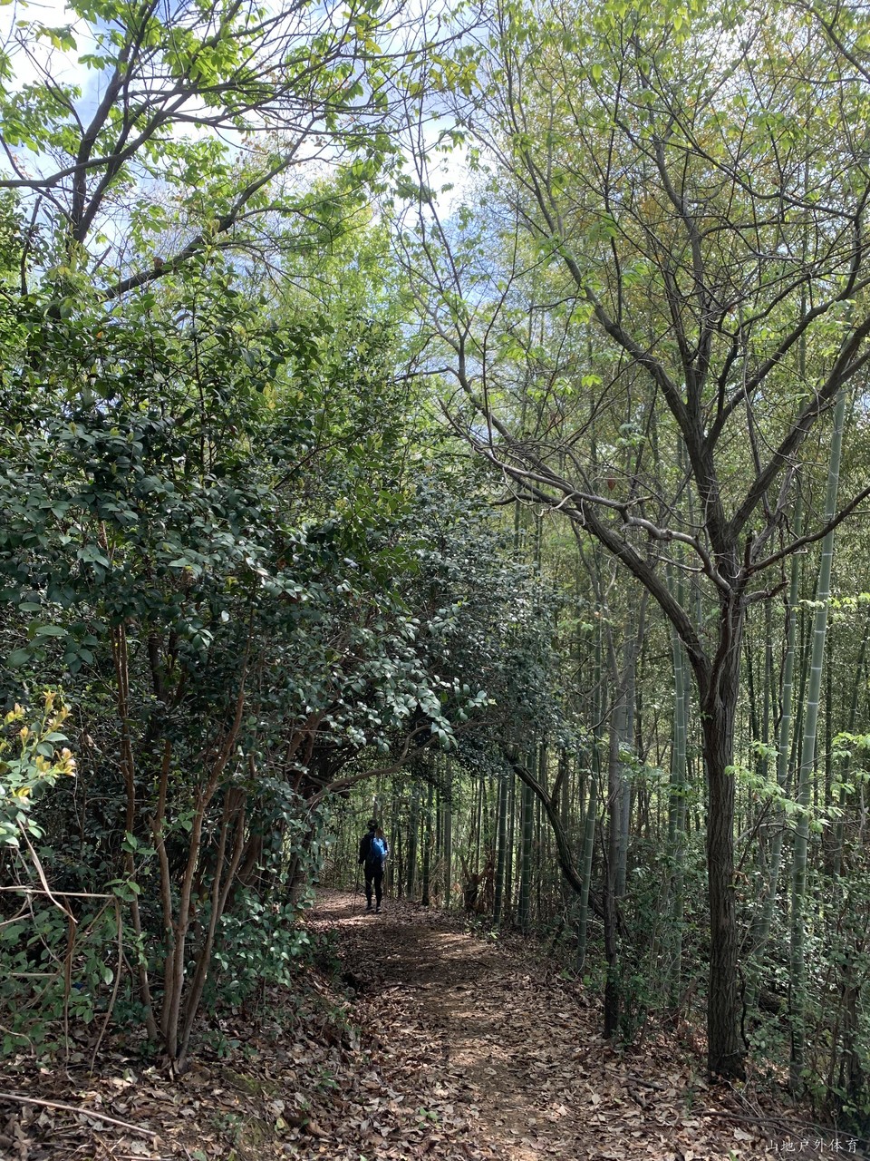 2023_04_05_09_50_IMG_2952