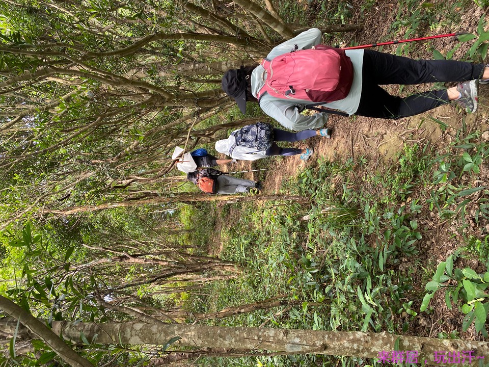 715bca8d-ef4a-4d05-9c5a-51ab9af32f18