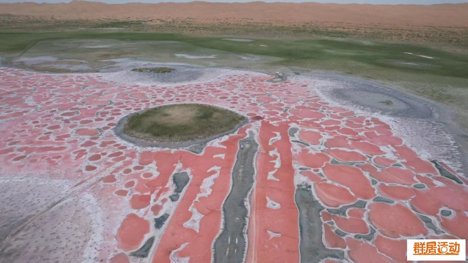 102657b3-8b9d-4fc4-899a-96e8d2d3f077