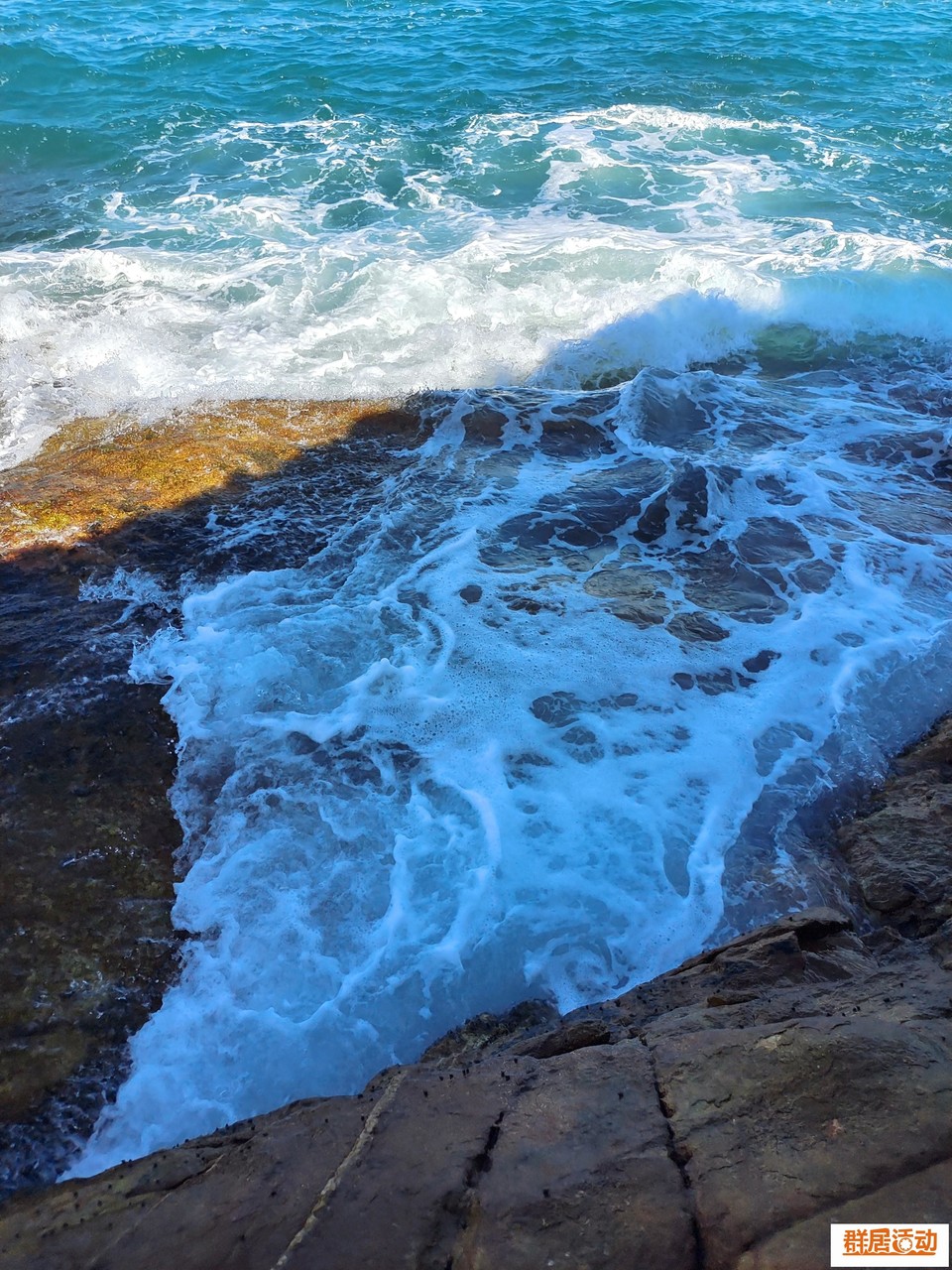 8a1acee1-36b2-4717-8ddb-0af579dad2cd