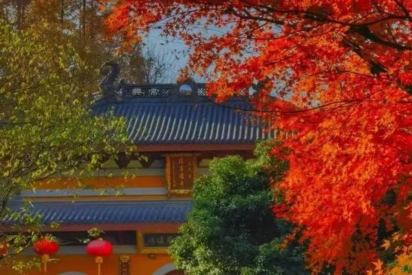 2月9日 登顶杭州北高峰｜天竺禅行，祈福法喜寺，天下第一财神庙