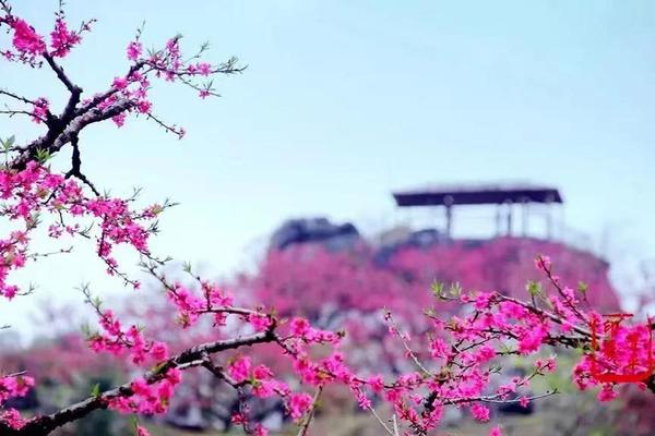 【十里桃花】连平桃花+龙南小武当行摄之旅（加推）