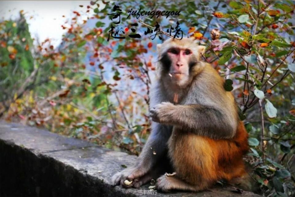 QQ截图2017030621071416717643626677