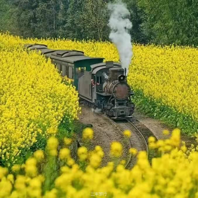 微信图片_20220217183437167176464747717