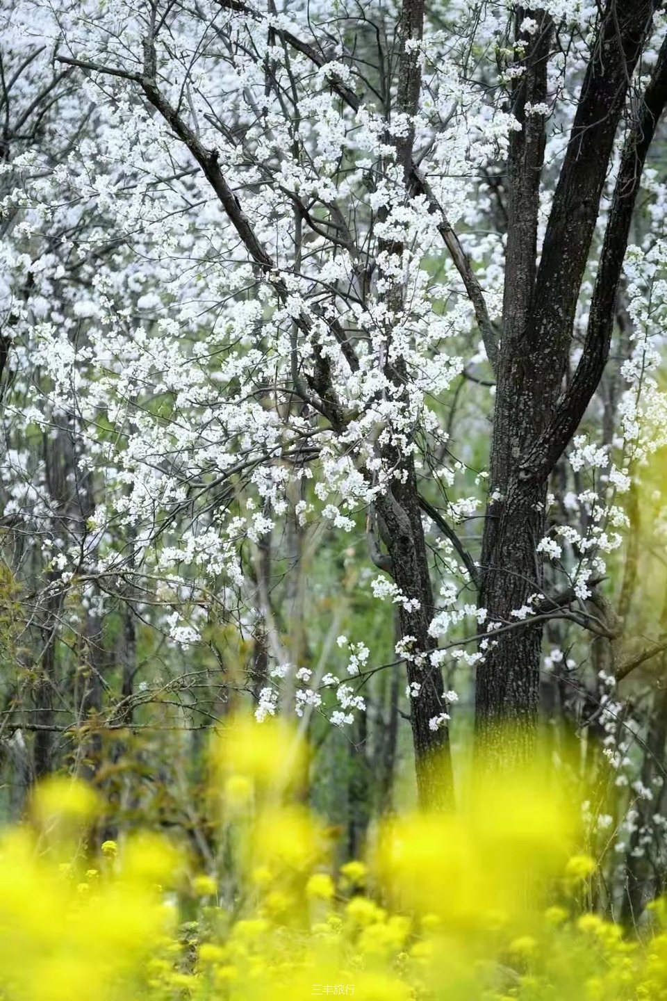 微信图片_20220217183445167176464714715