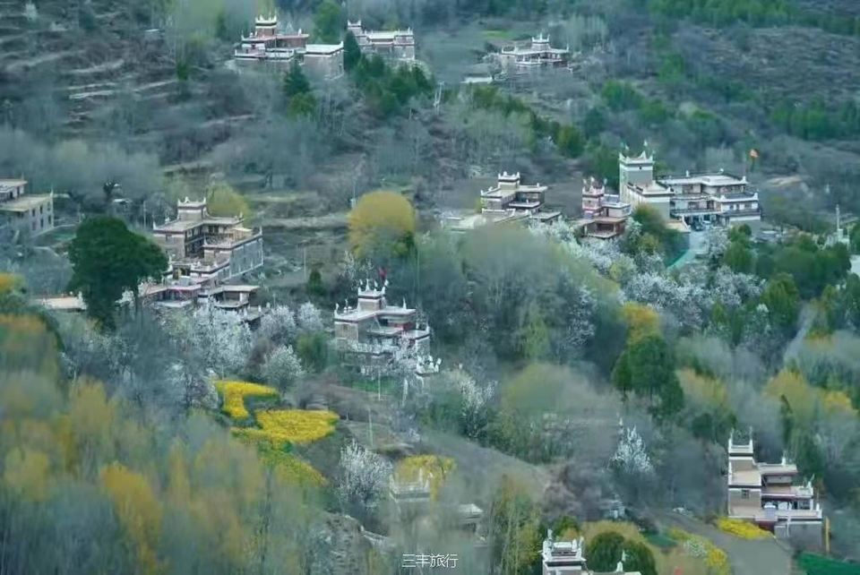 微信图片_2022021720222516717646463466