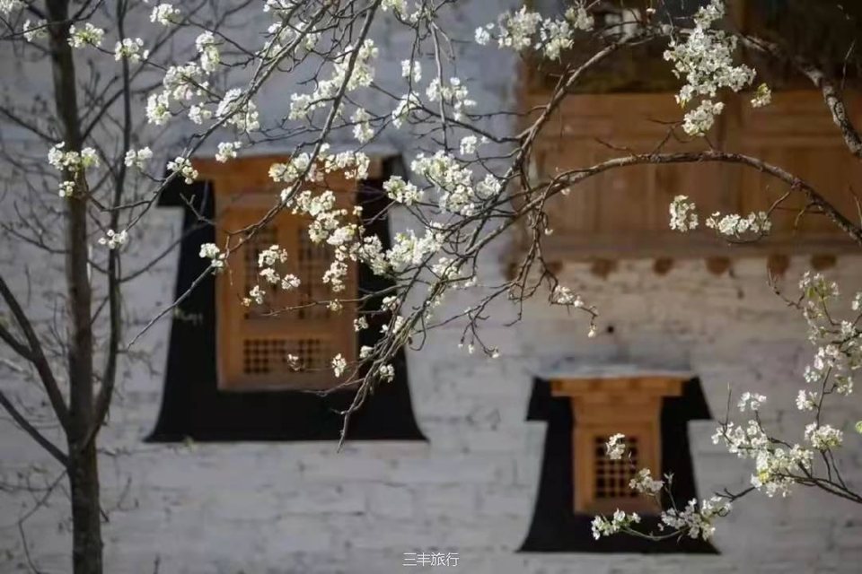 微信图片_2022021720223016717646462315