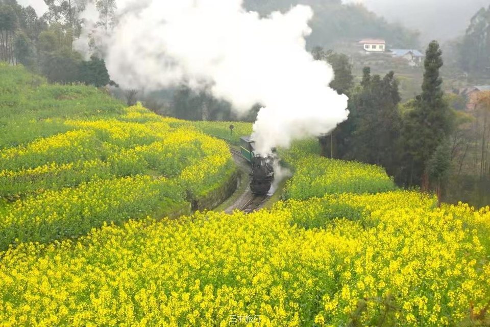 微信图片_2022021900410016717646459032