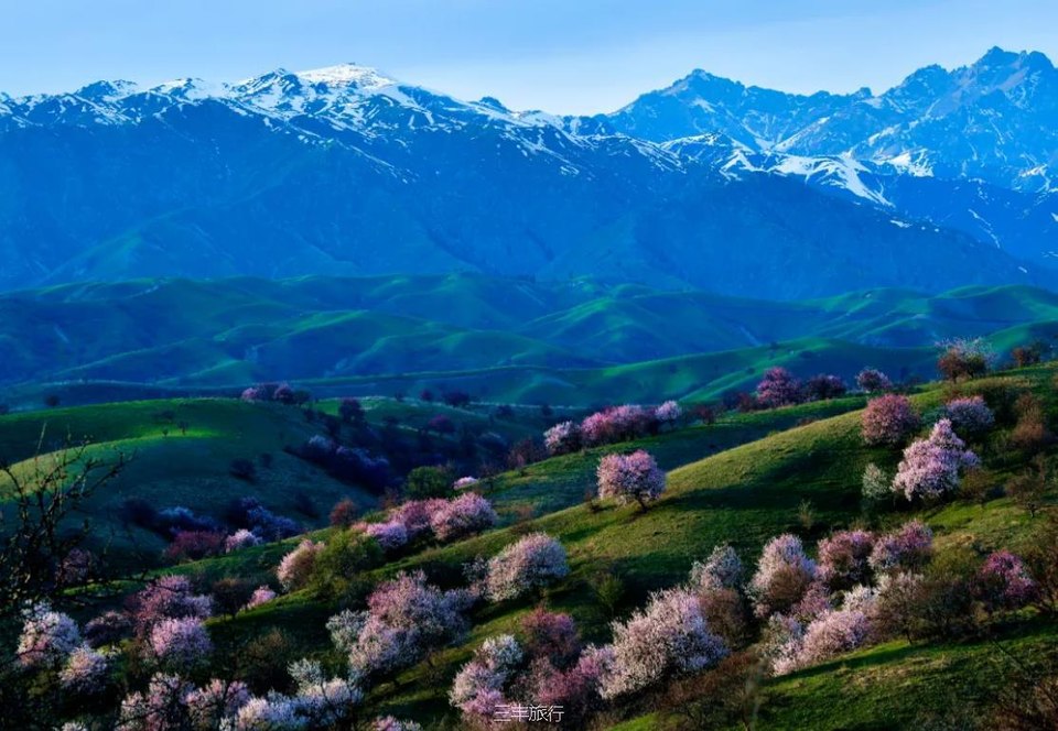 2微信截图_2022021723111416717647269381