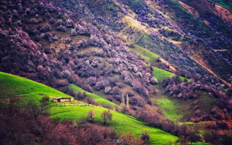 2微信截图_2022021723114416717647265890