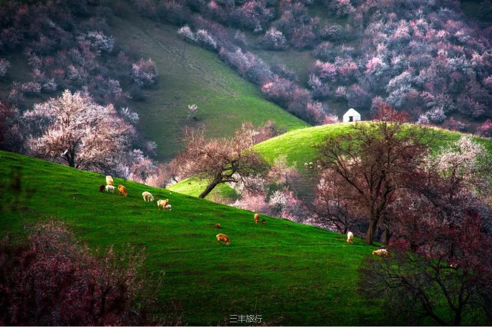 微信截图_2022021723030016717647272513