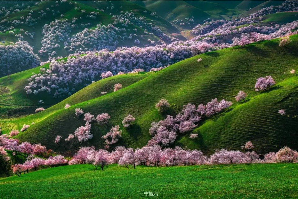 微信截图_2022021723032016717647270862