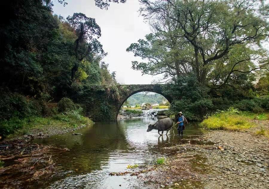 微信图片_2022021823051716717647937437