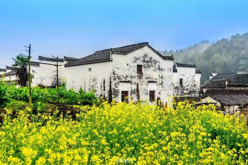 微信图片_20220307214323516717647926940