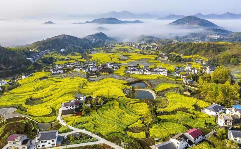 微信图片_20220307122303216717649263398