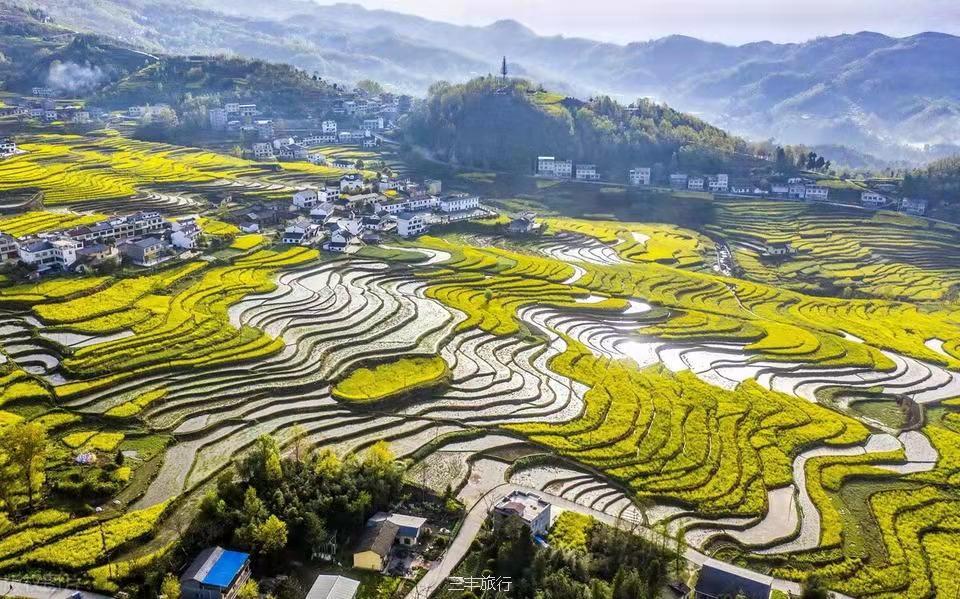 微信图片_20220307122303316717649261947