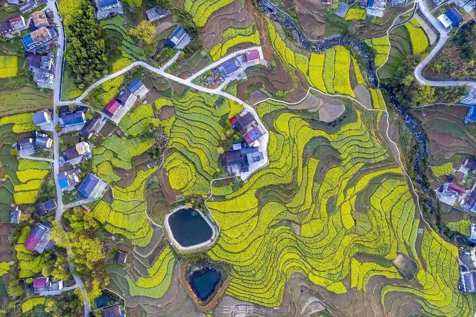 微信图片_20220307122303516717649259015