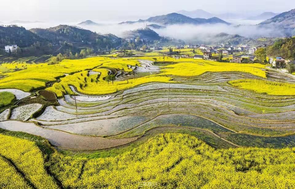 微信图片_20220307122303716717649256953