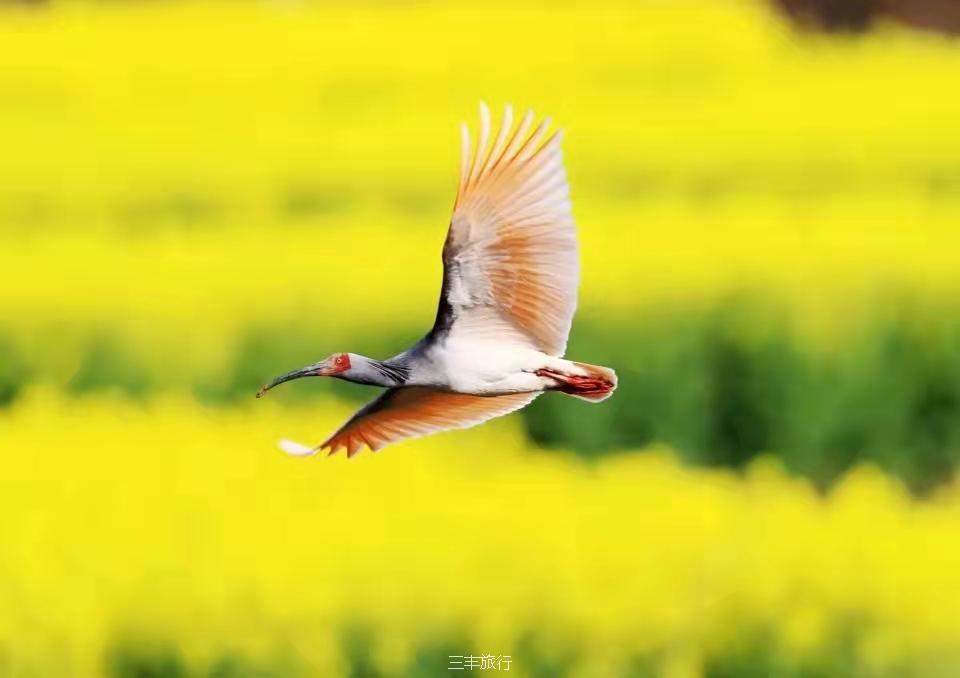 微信图片_20220307214340116717649253981