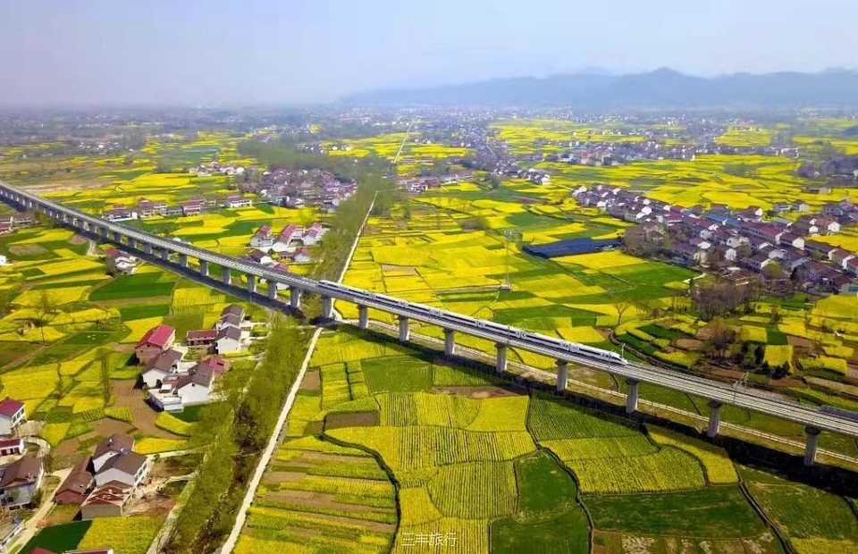 微信图片_20220307214340216717649252010