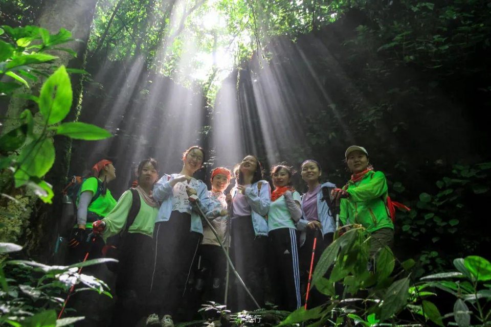 茂兰 (1)167176518778712