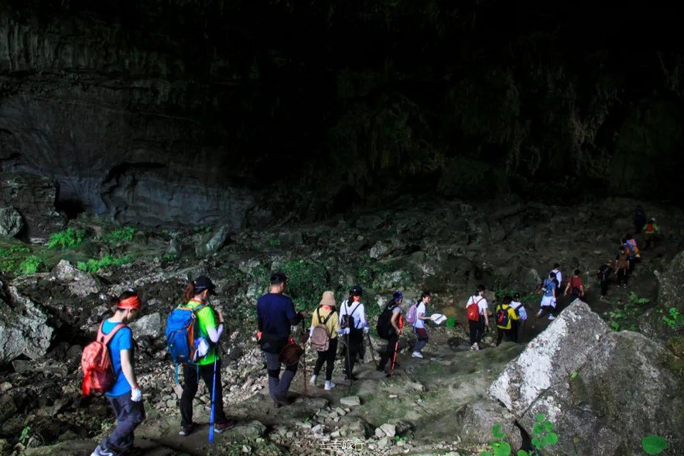 茂兰 (4)16717651874209