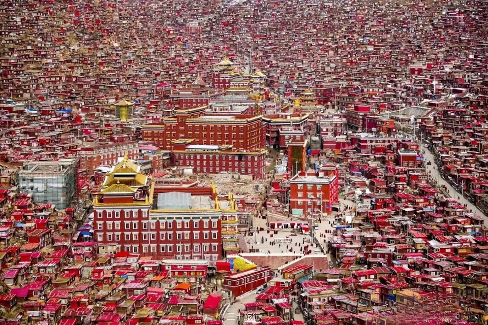 微信图片_20220702102231167176532757541