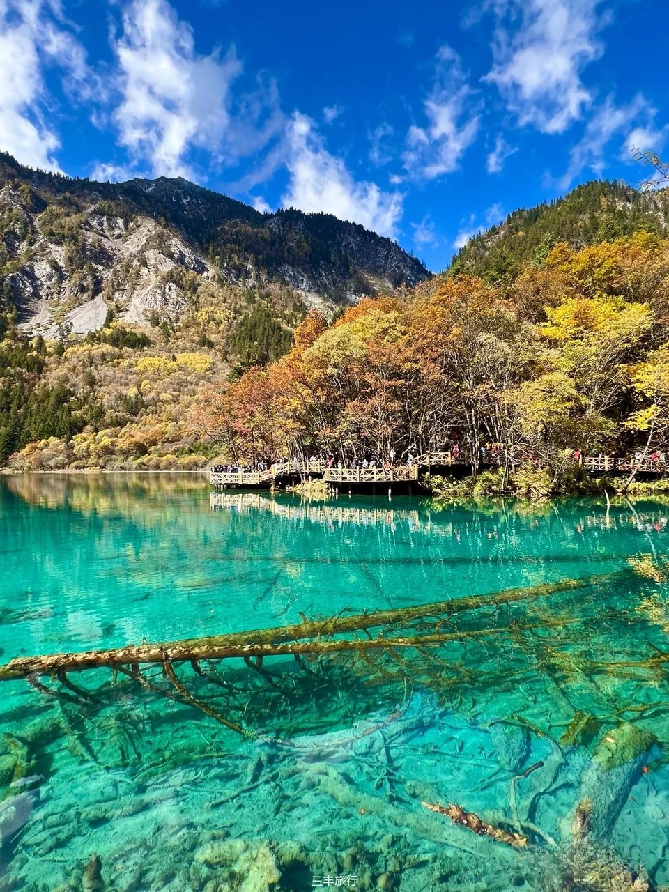 微信图片_20220702103347167176532715038