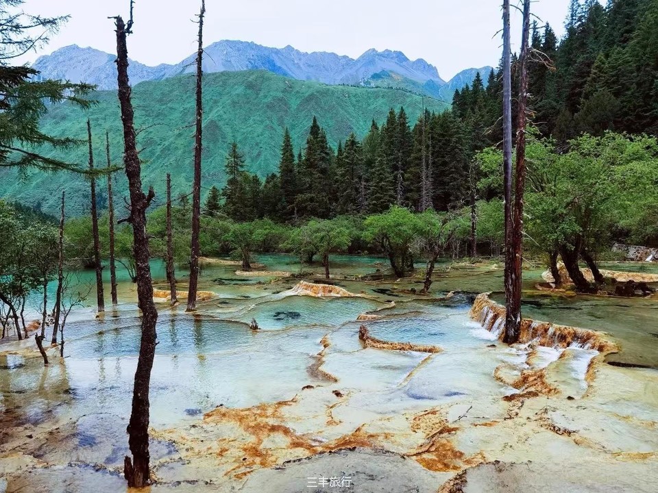 微信图片_20220702103412167176532655833