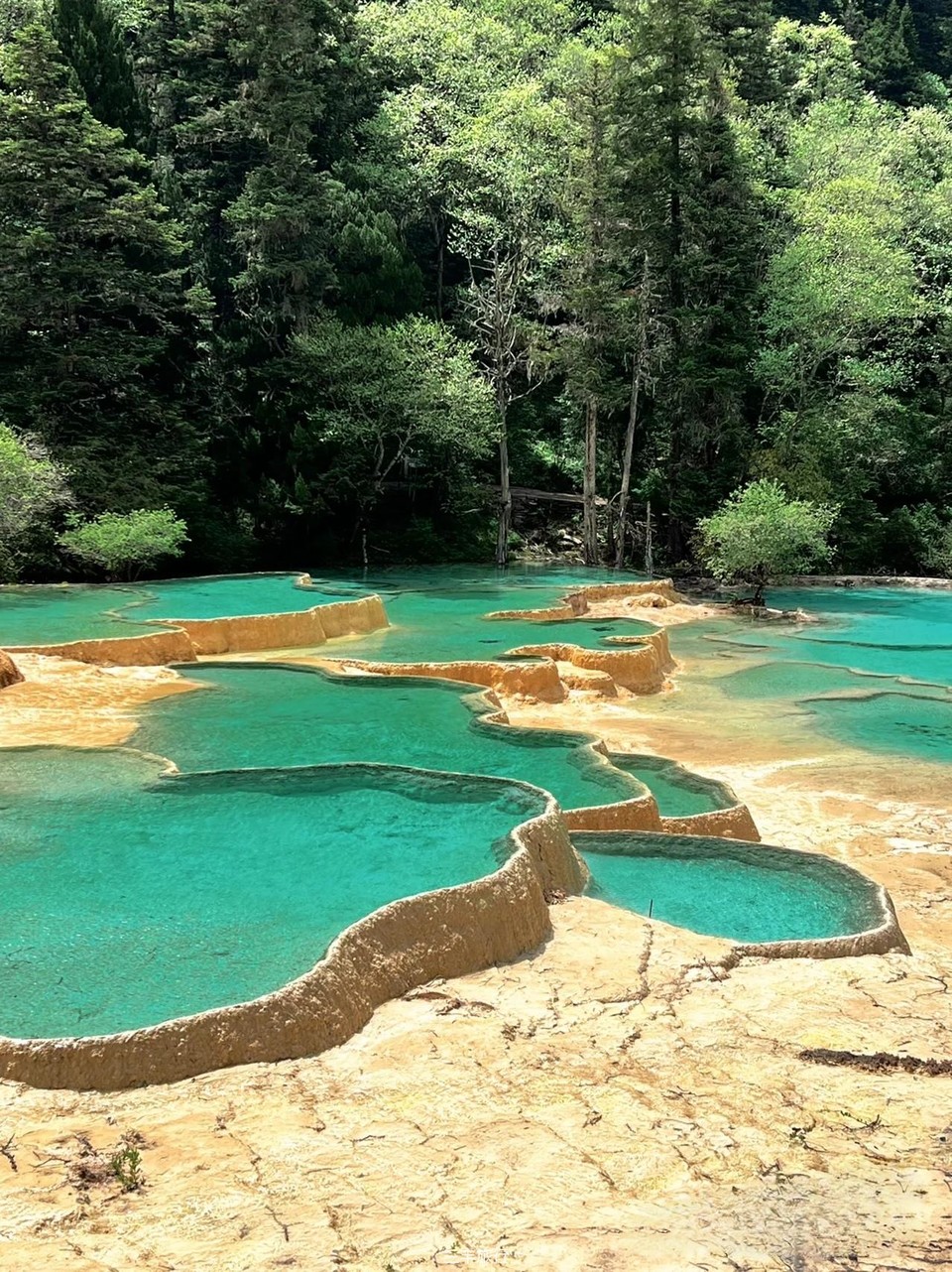 微信图片_20220702103425167176532612029