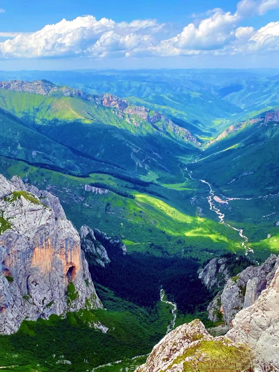 微信图片_20220702104251167176532575827