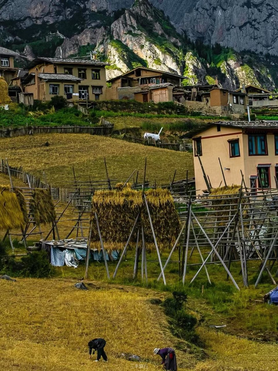 微信图片_20220702104835167176532485420