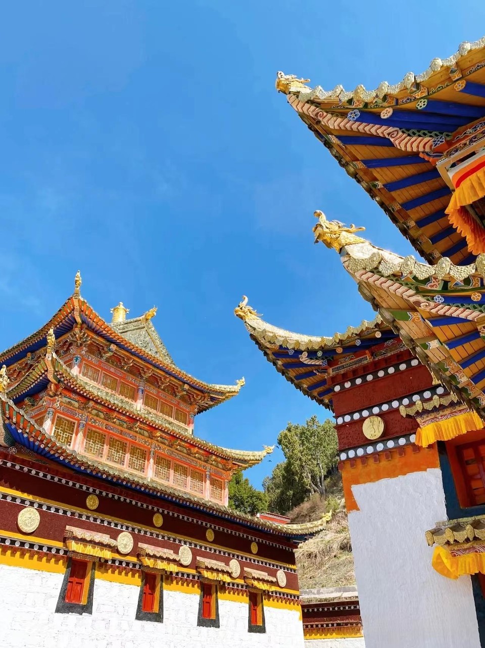 微信图片_20220702110512167176532437216