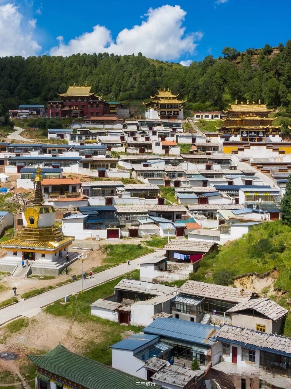 微信图片_20220702110526167176532378212