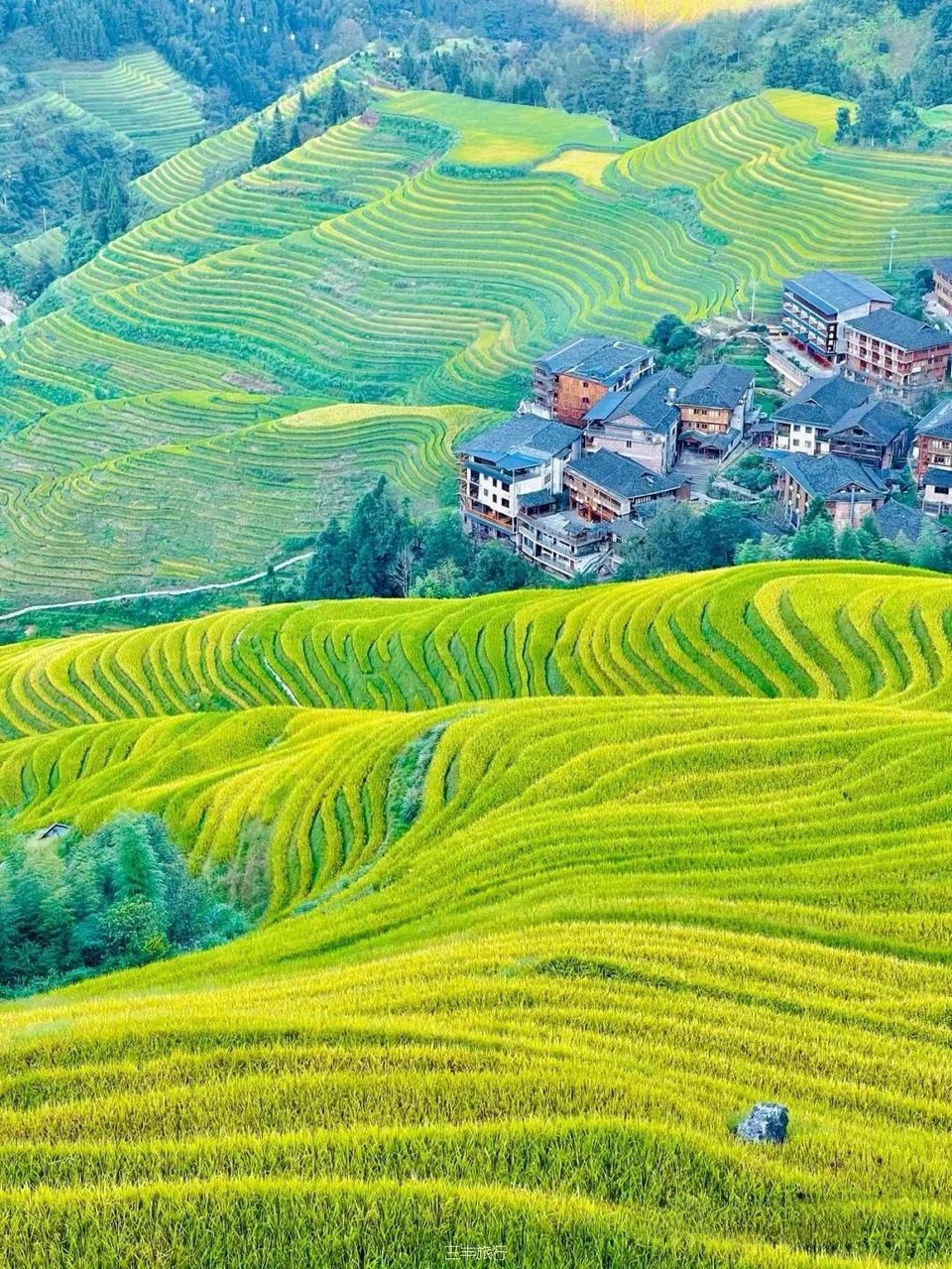 微信图片_2022080700282210167176597705714